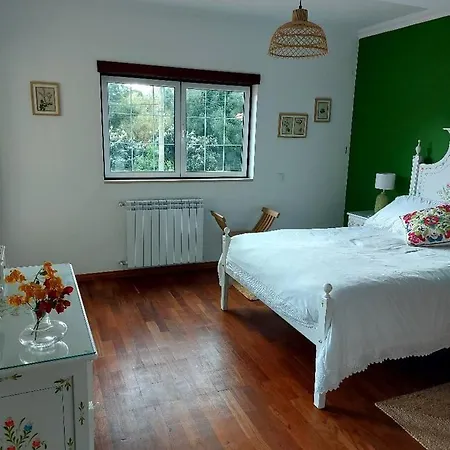 Вилла Casa Botanica