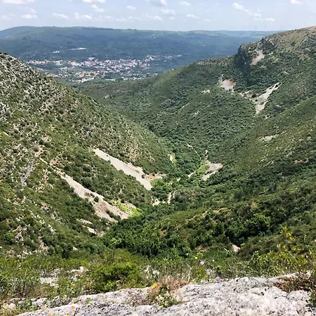 Casa Botanica * Vestiaria